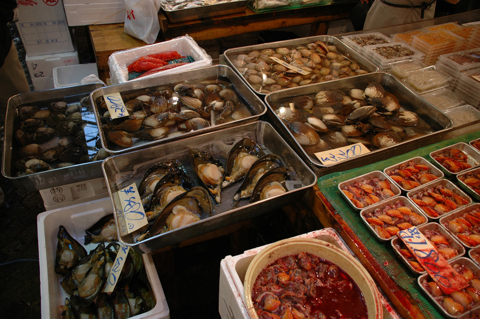 Tokyo, Japan / NRT Tokyo Tsukiji Fish Market mussels 3008x2000 photo